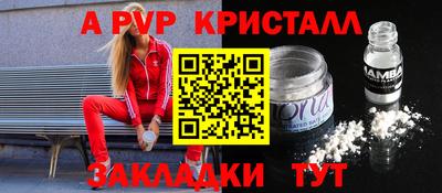 стаф Кунгур