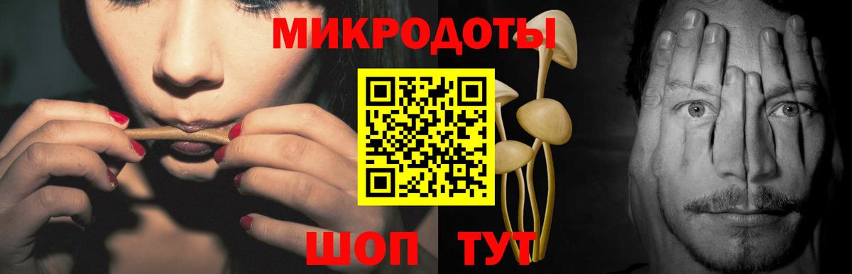Губаха  Псилоцибиновые грибы мицелий  купить  сайты  Вход с VPN 
